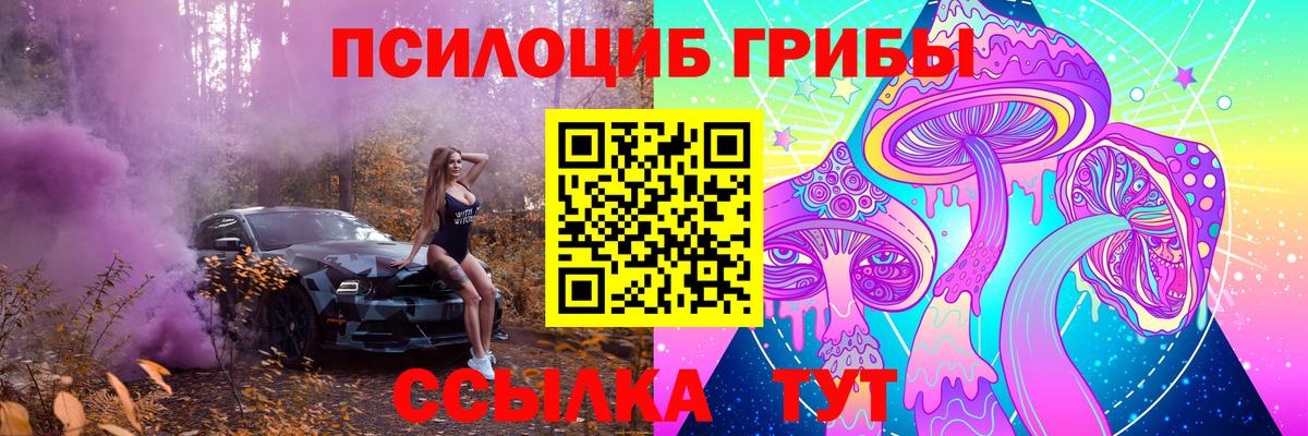 Галлюциногенные грибы Cubensis Россошь