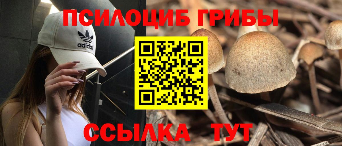 Россошь  Псилоцибиновые грибы ЛСД  Вход с VPN 